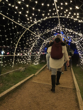 Holidays at the Heard